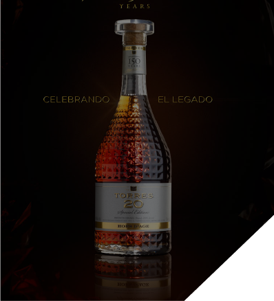 BEBIDAS 6